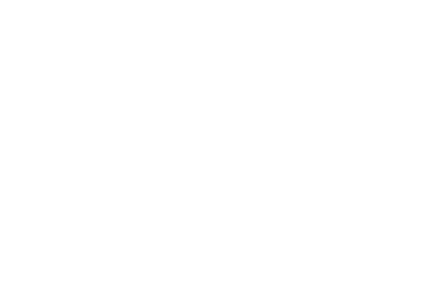 外挂